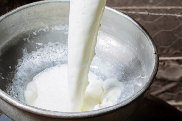 Milk being poured into a metal bowl
