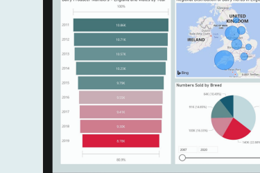 What makes a good dashboard?