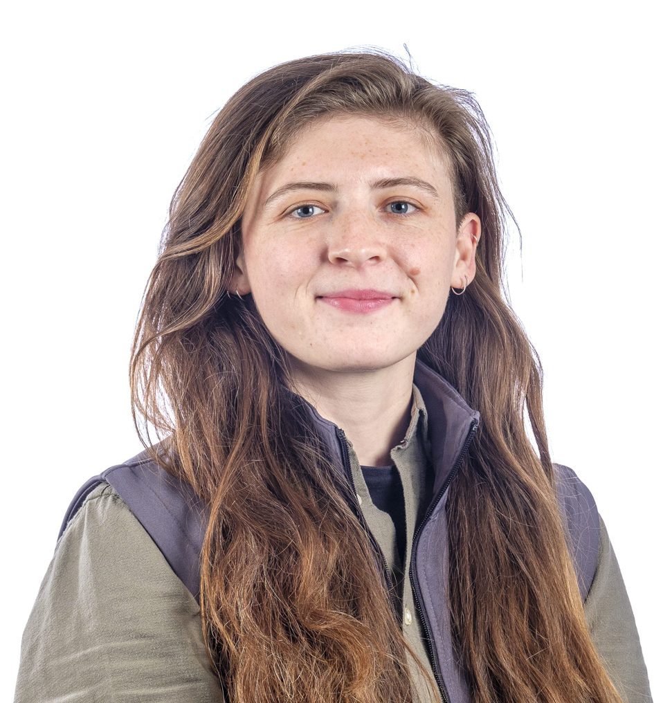 Author Avatar