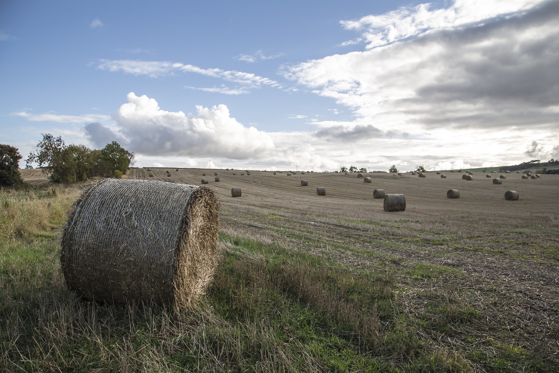 The future of farming