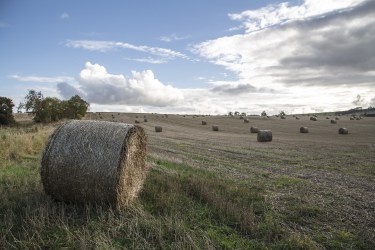 The future of farming