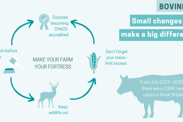 Infographic - TB incidence on-farm and how to reduce it