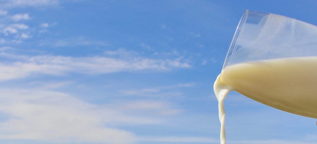 Dairy Products