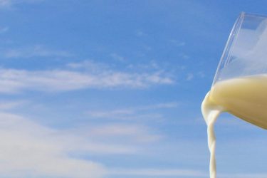 Dairy Products