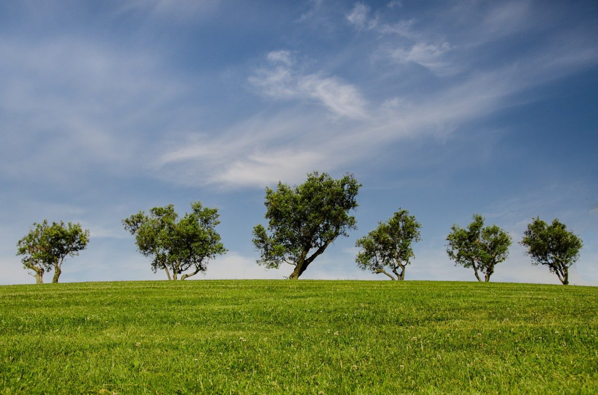 Environmental Consultancy