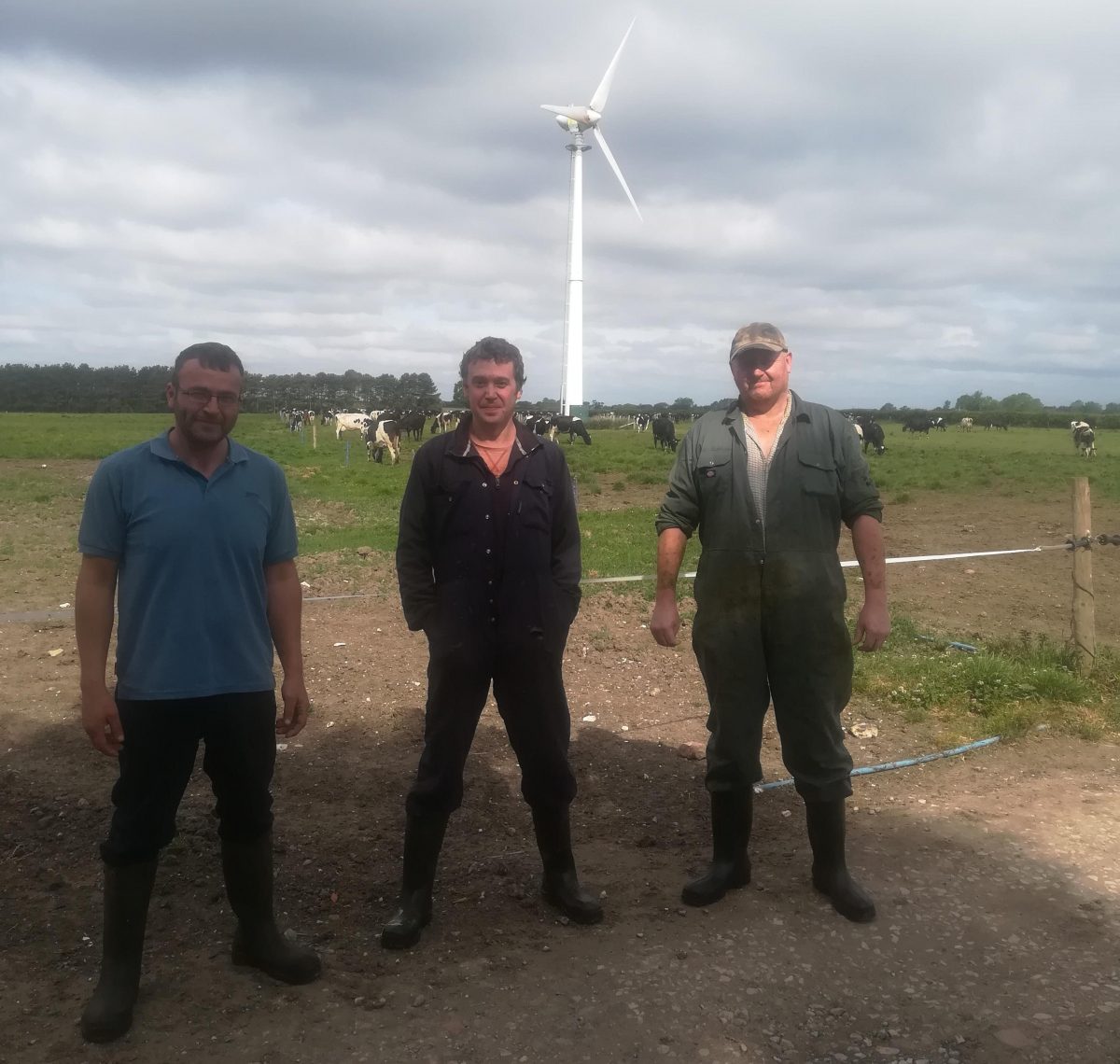 The Dairy Team