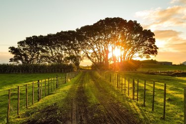 new agriculture bill