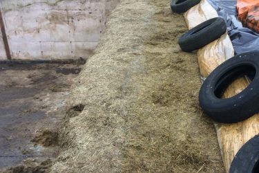Silage clamp
