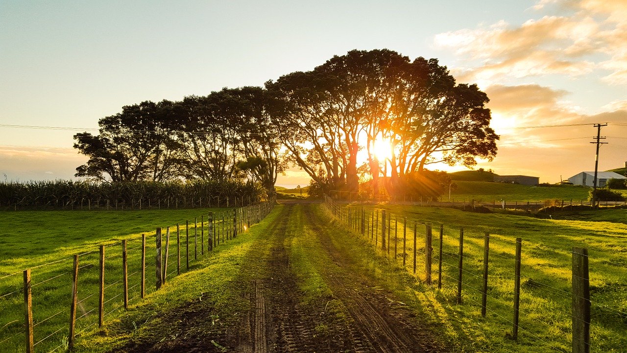 new agriculture bill