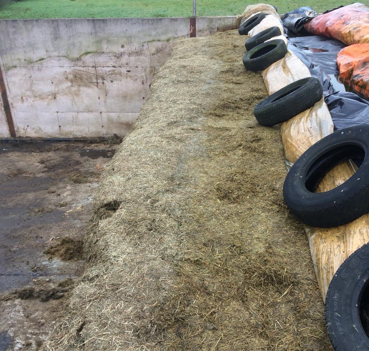 Silage clamp