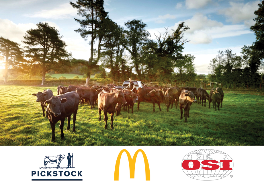 Cows on Brongain Farm, with logos of Pickstock, McDonald's and OSI